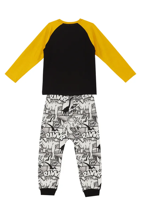 Rawr Boys' T-shirt and Pants Set