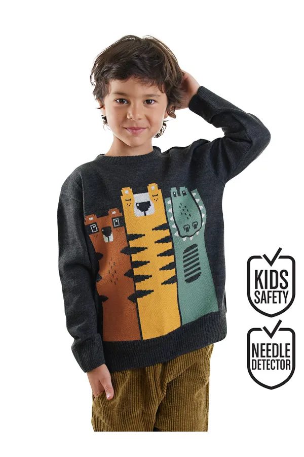 Hayvanlar Erkek Çocuk Triko Kazak