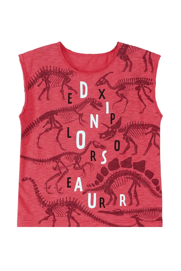 Dinosaur Expert Boys' T-shirt and Shorts Set