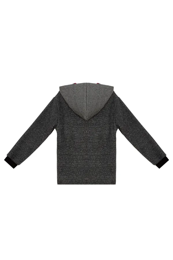 Dino Erkek Çocuk Kapüşonlu Sweat