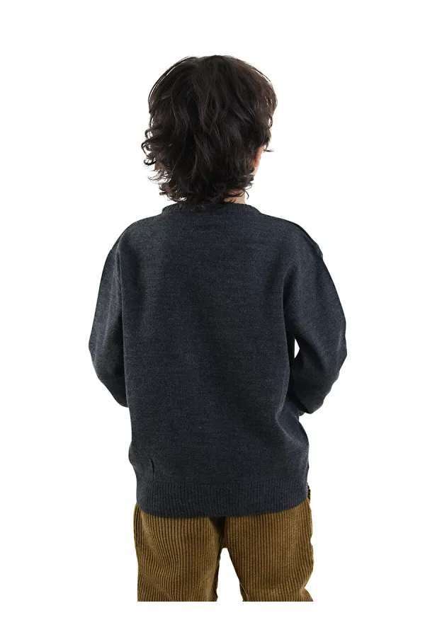 Hayvanlar Erkek Çocuk Triko Kazak