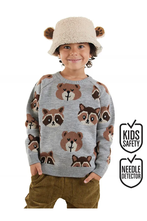 Ayı Rakun Erkek Çocuk Gri Triko Kazak