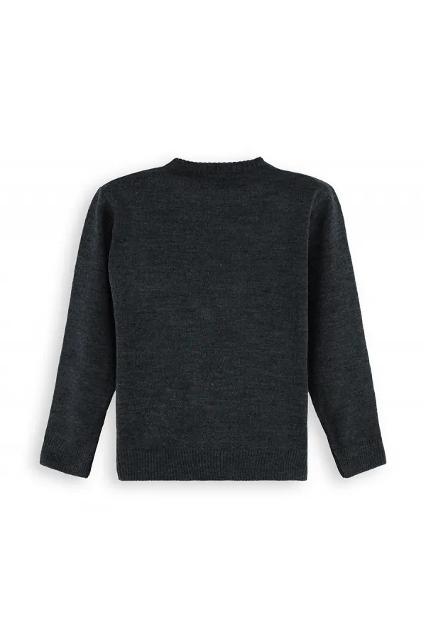 Hayvanlar Erkek Çocuk Triko Kazak