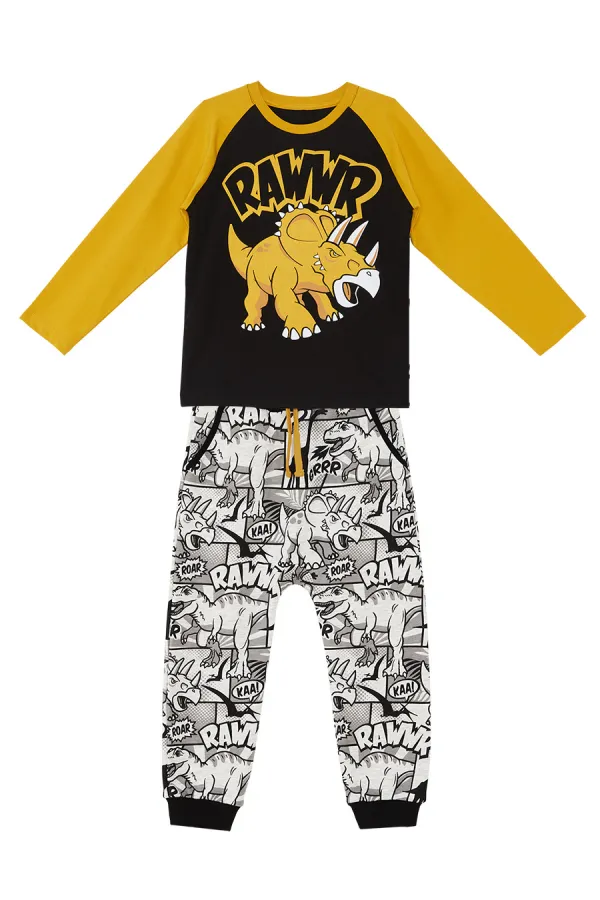 Rawr Boys' T-shirt and Pants Set
