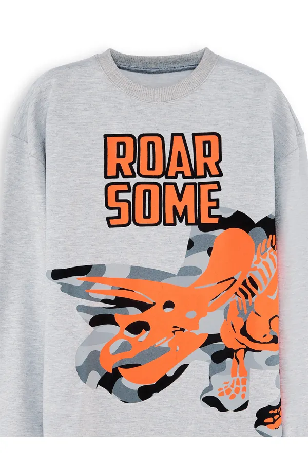 Roar Erkek Çocuk Gri Sweat