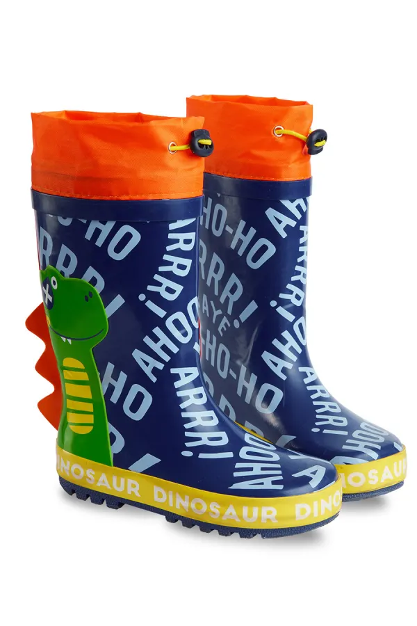 Colorful Dinosaur Boys' Rain Boots