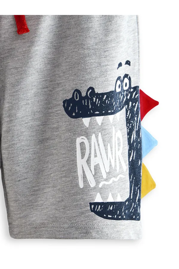 Rawr Boys' T-shirt and Shorts Set