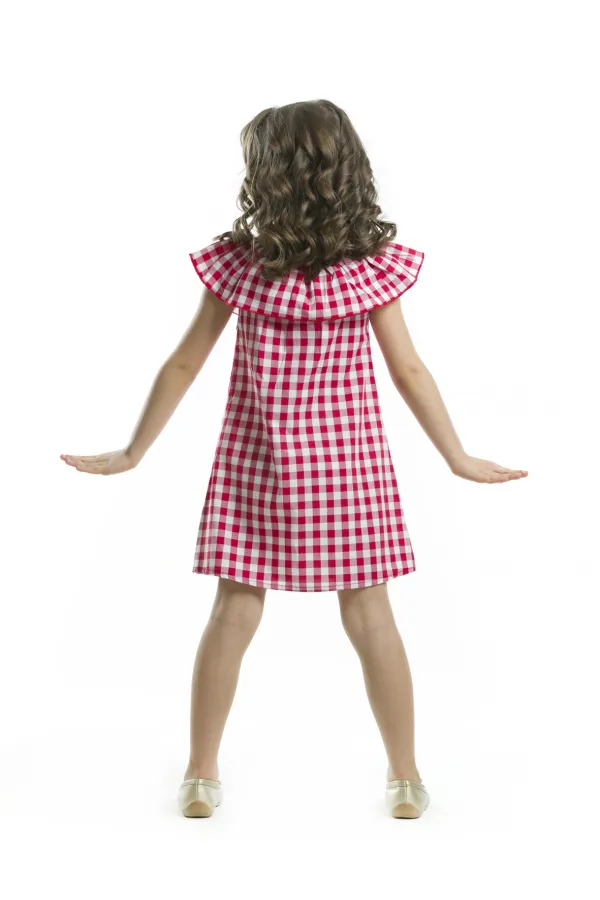 Girl with Heart-Shaped Glasses Plaid Dress