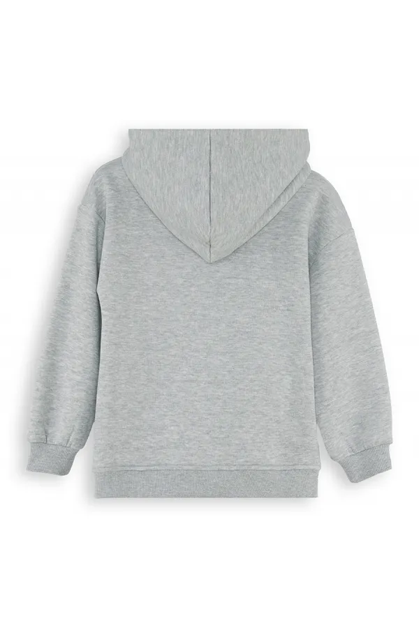Dinozor Erkek Çocuk Fermuarlı Kapüşonlu Gri Sweat