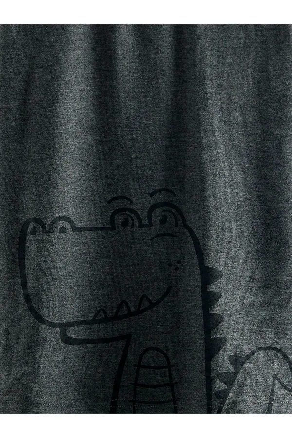 Dinosaur Boy's Grey Pajama Set (Top and Bottom)