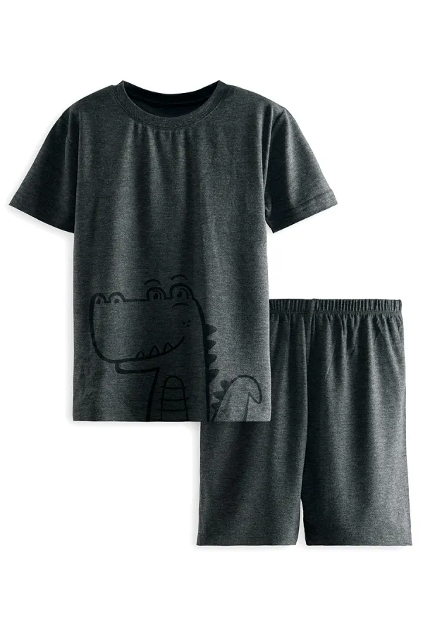 Dinosaur Boy's Grey Pajama Set (Top and Bottom)