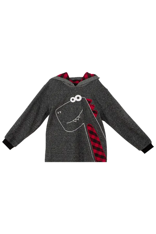 Dino Erkek Çocuk Kapüşonlu Sweat