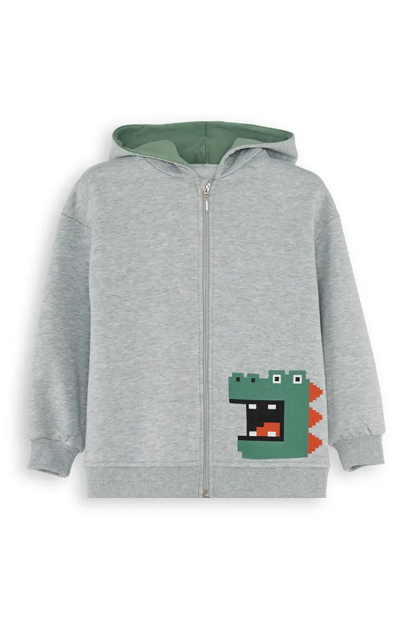 Dinozor Erkek Çocuk Fermuarlı Kapüşonlu Gri Sweat