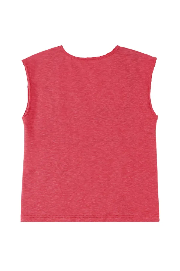 Dinosaur Expert Boys' T-shirt and Shorts Set