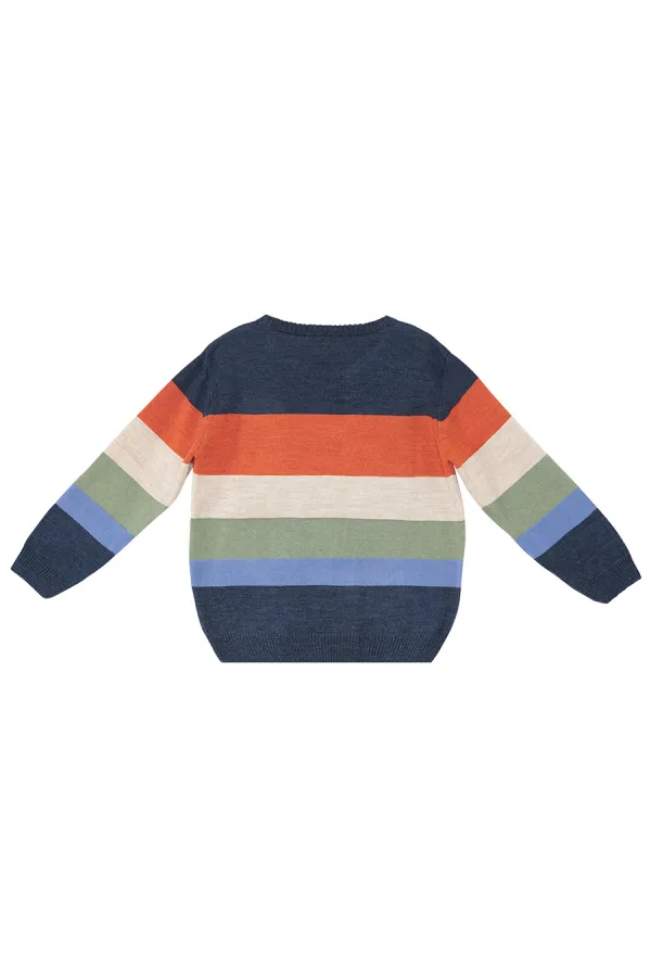 Animals Boy Sweater