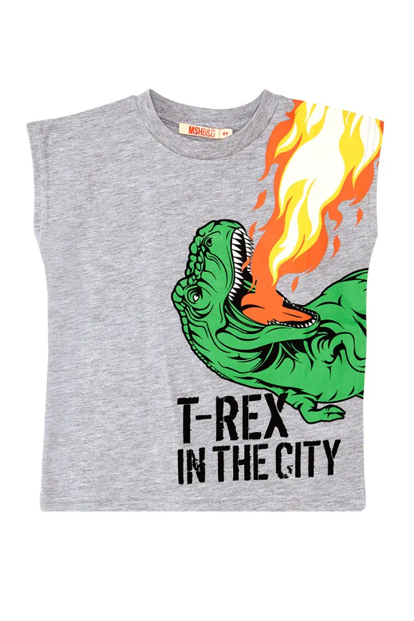 T-Rex Alev Erkek Çocuk T-Shirt Şort Takım