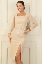 Square Neck, Lined, Slit, Long Mesh Sleeve Dress