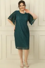 Short Sleeve Flounce Lined Plus Size Glittery Lace Dress