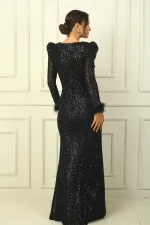 Wrap-neck, draped front, lined, feathered sleeves, sequined long dress.