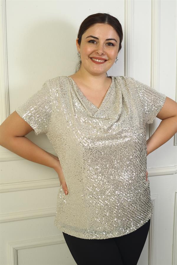 Women's V-Neck Lined Sequin Plus Size Blouse