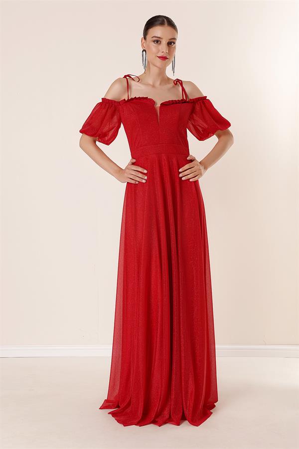 Long Dress with Pleated Neckline, Balloon Sleeves, Lined, and Glittery Embellishments.