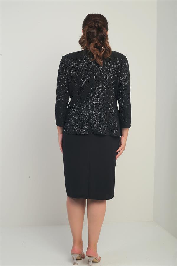 Women's Sleeveless Lined Dress with Sequin Embellished Jacket and Stone Detail, Plus Size Two-Piece Set