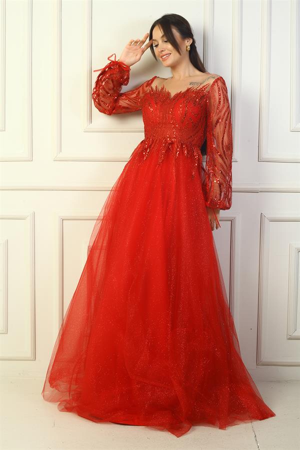 Kadın Pul Detaylı Arkası Bağcıklı Astarlı Simli Uzun Abiye Elbise