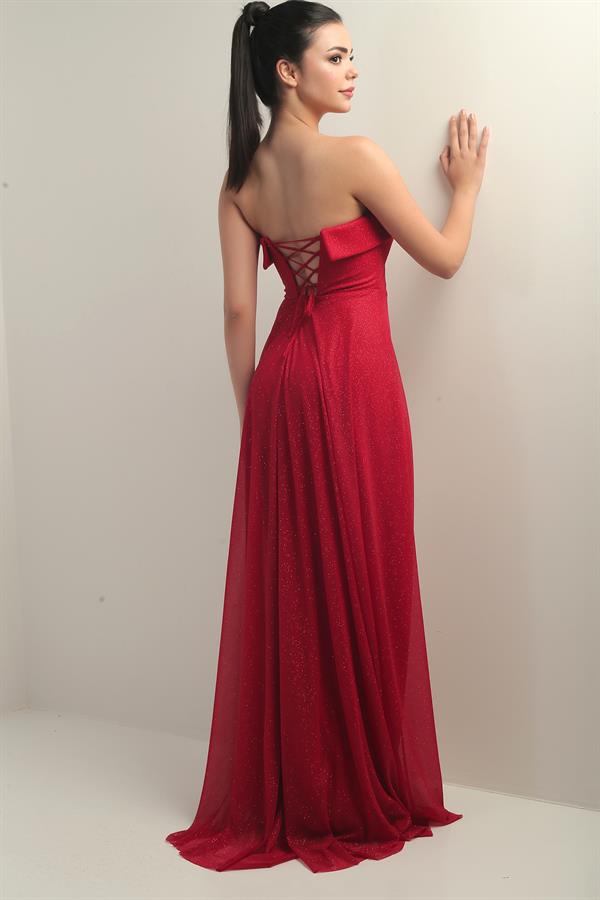 Women's Long Tulle Dress with Padded Collar and Lining