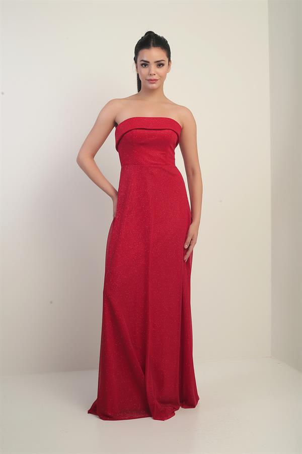 Women's Long Tulle Dress with Padded Collar and Lining