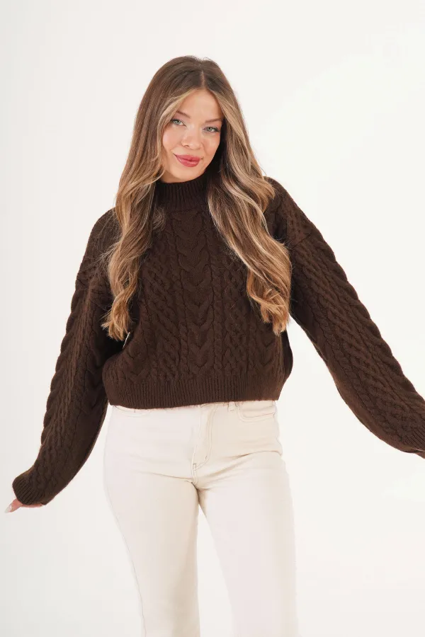 Spiral Knit Patterned Knitted Sweater in Coffee Brown - Wholesale