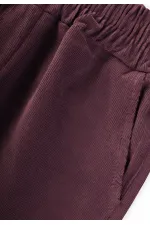 Pantalon en velours, 4-12 ans, prune