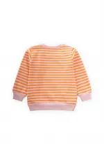 Çizgili Triko Sweatshirt 0-4 Yaş Pudra Şeftali