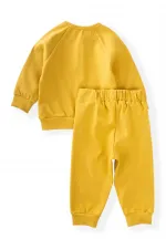Reglan Kol Patlı Erkek Basıc Takım 1-5 Yaş Hardal Sarı