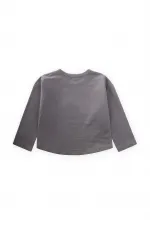 Embroidered Sweatshirt 1-5 Years Old Gray