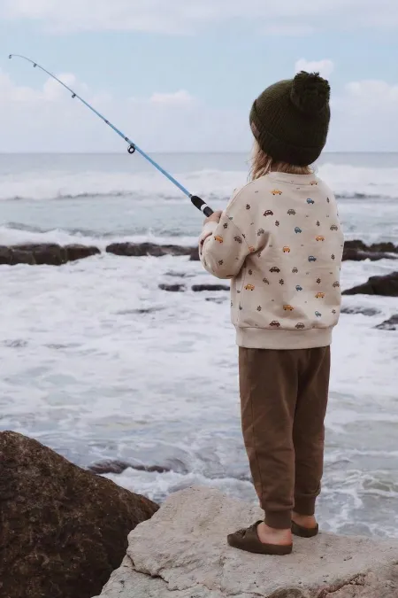 Car Print Sweatshirt Set, Ages 1-5, Beige