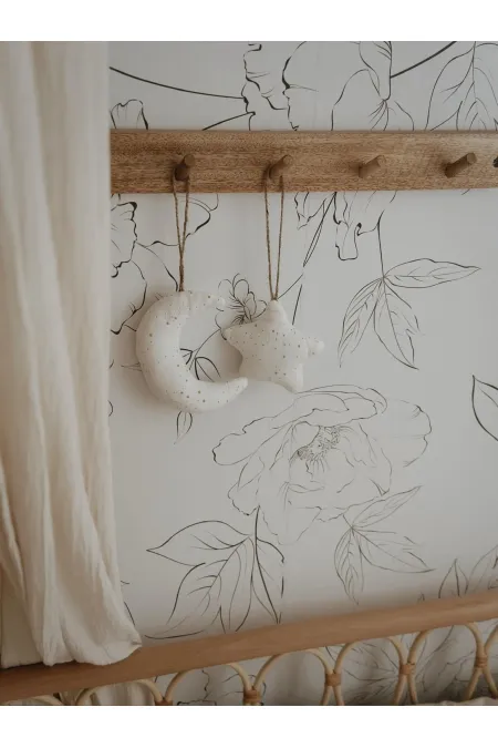 Décoration de porte Lune