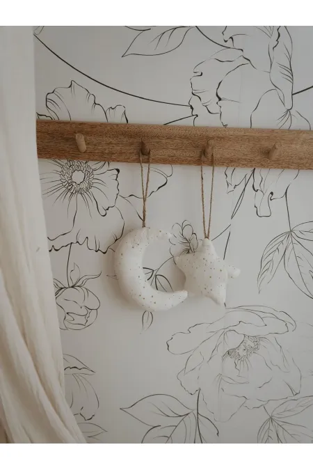 Étoile de décoration de porte