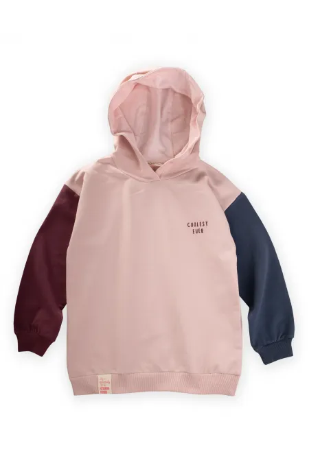 Multicolor Sweatshirt 5-12 Yaş Pudra