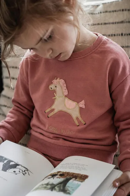 At Aplikeli Sweatshirt 1-6 Yaş Gül Kurusu