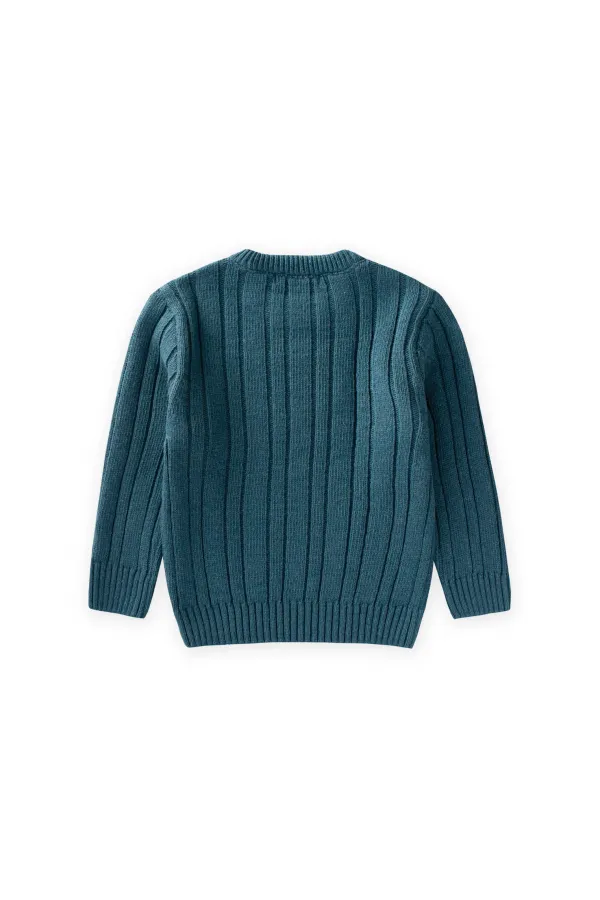 Braided Sweater for 1-8 Years Old (Pearl Pattern)