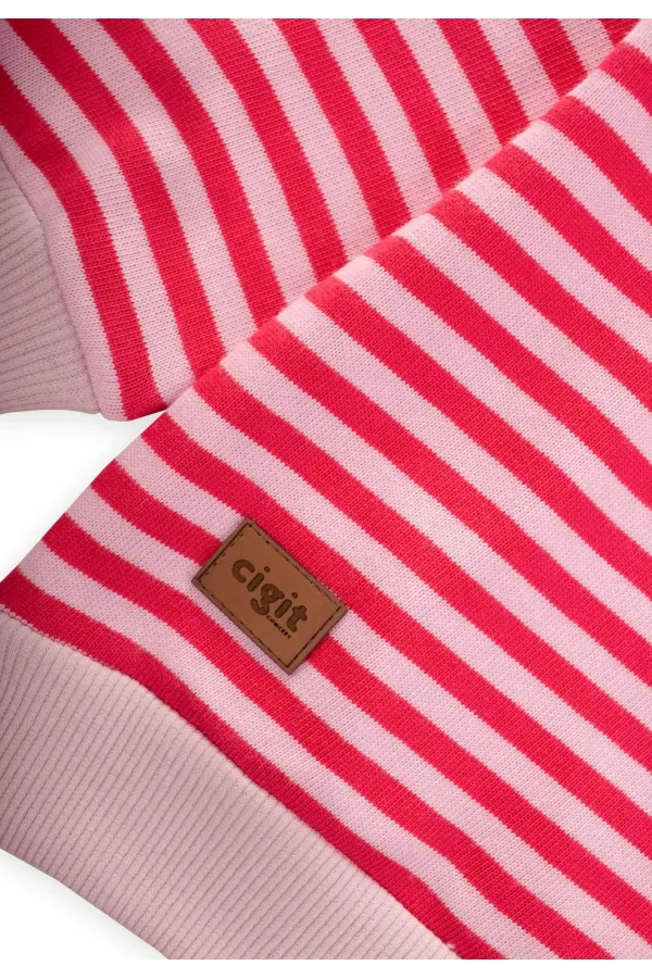 Çizgili Triko Sweatshirt 0-4 Yaş Pudra Mercan