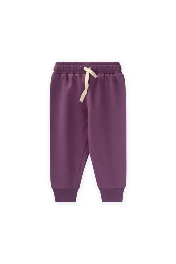 Ensemble de survêtement basique pour enfants de 1 à 5 ans - Prune