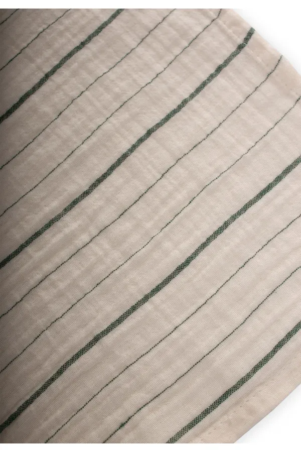 Triple Muslin Mouth Cloth 20x30 cm Green Striped