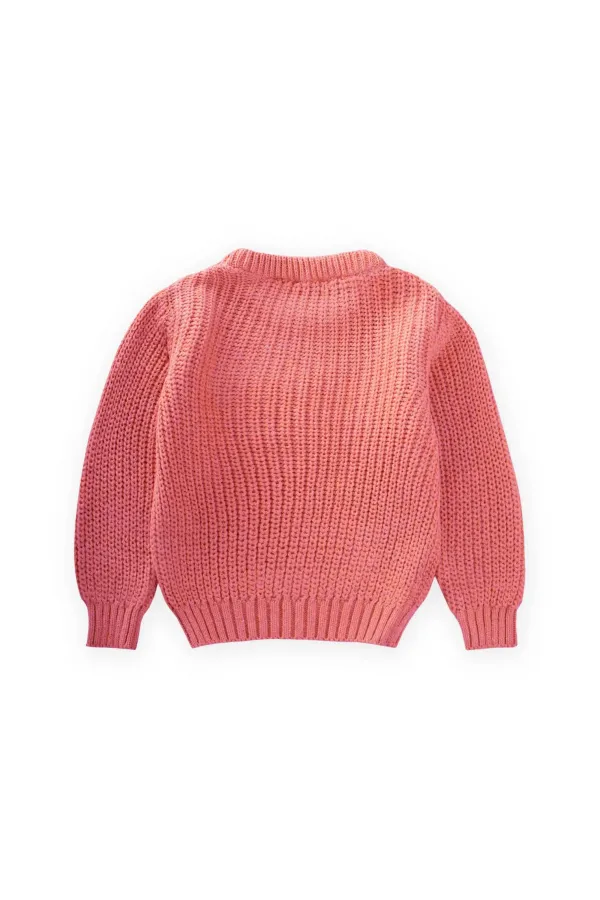 Crew Neck Selanik Knitwear Sweater 2-8 Years Old Salmon