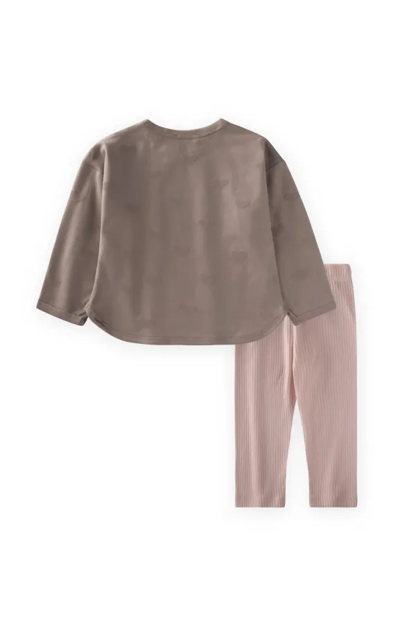 Long Sleeve T-Shirt Set 1-7 Years Mink