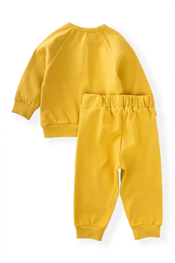 Reglan Kol Patlı Erkek Basıc Takım 1-5 Yaş Hardal Sarı