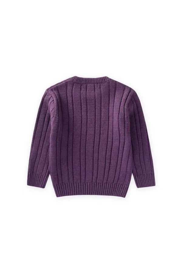 Braided Sweater, Ages 1-8, Purple