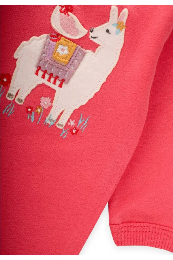 Tulum 0-3 Yaş Mercan