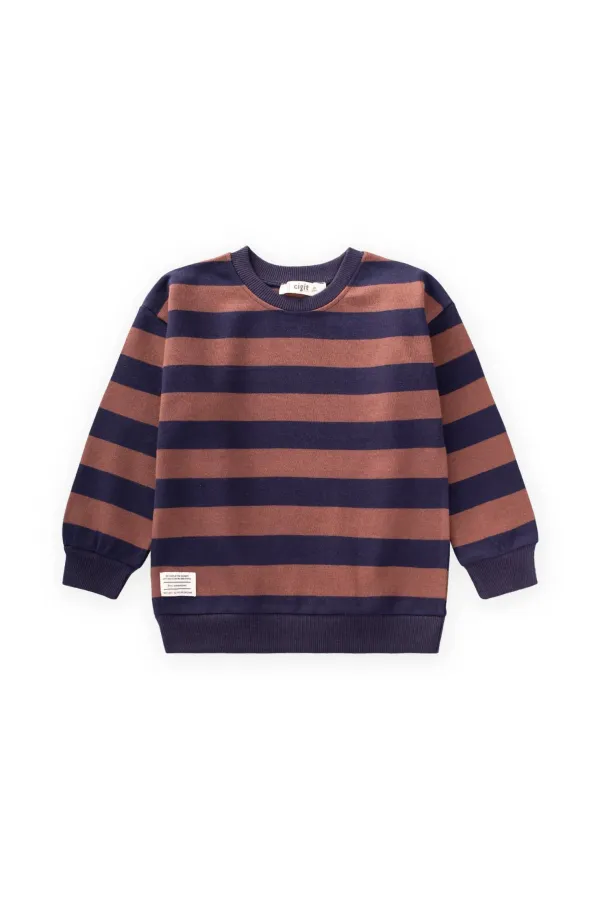 Striped Knitted Sweatshirt 2-12 Years Old Navy Blue Brown