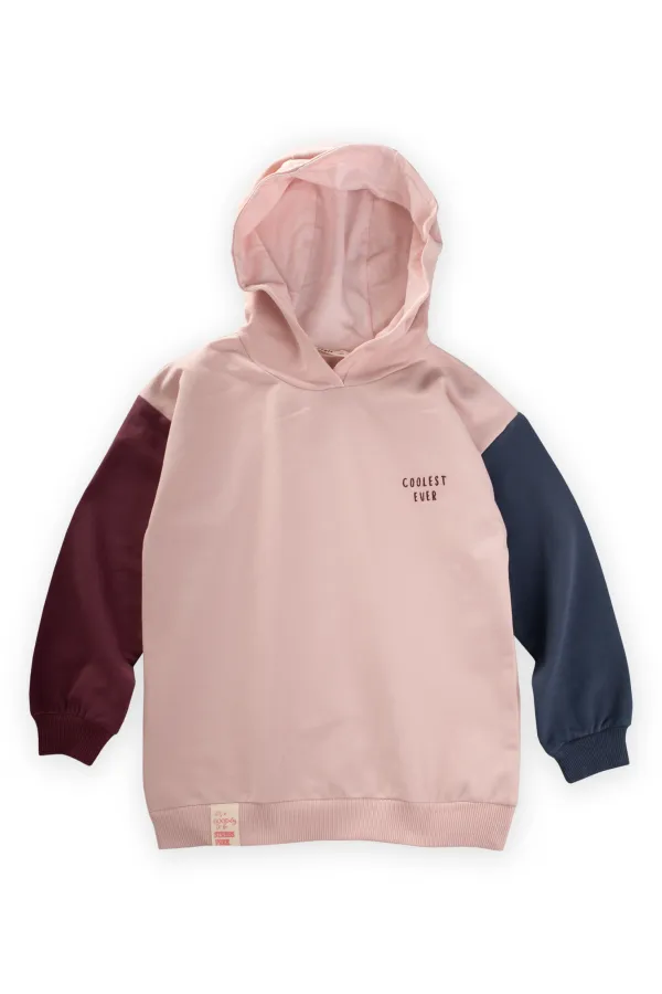 Multicolor Sweatshirt 5-12 Yaş Pudra